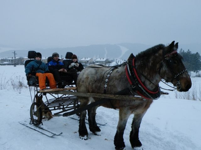 ScholaInNatura Fotogaleria