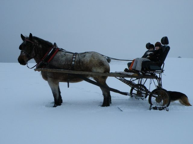 ScholaInNatura Fotogaleria