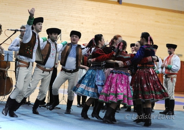 ScholaInNatura Fotogaleria