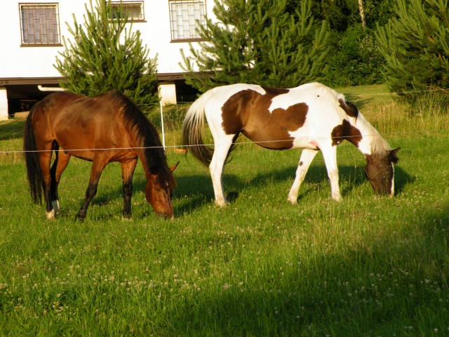 ScholaInNatura Fotogaleria