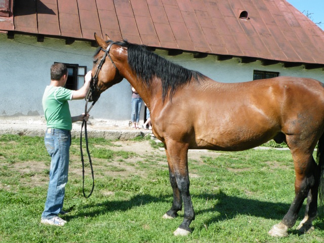 ScholaInNatura Fotogaleria