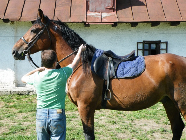 ScholaInNatura Fotogaleria
