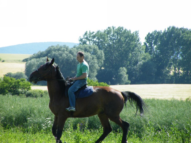 ScholaInNatura Fotogaleria
