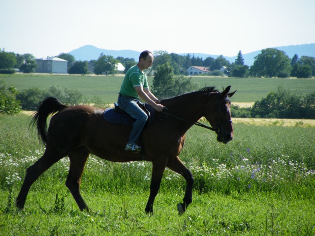 ScholaInNatura Fotogaleria