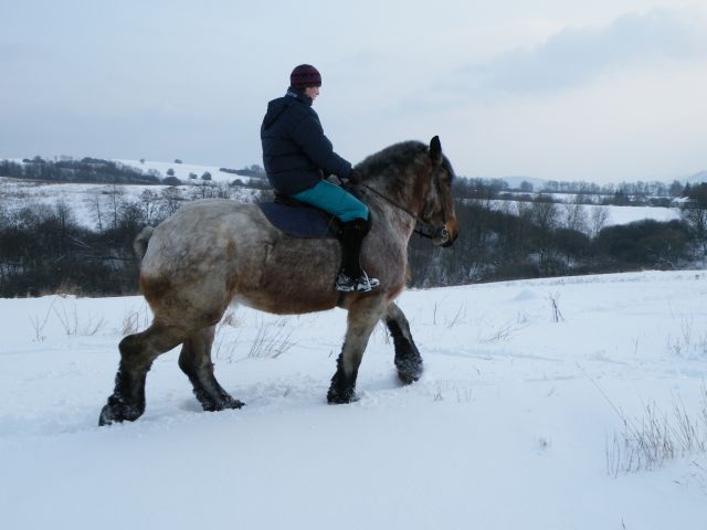 ScholaInNatura Fotogaleria