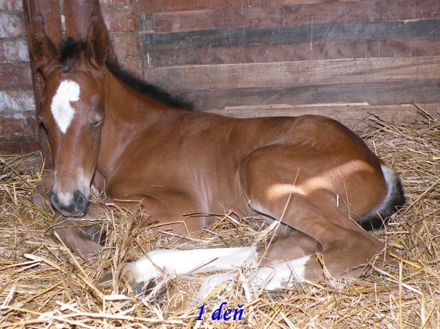 ScholaInNatura Fotogaleria