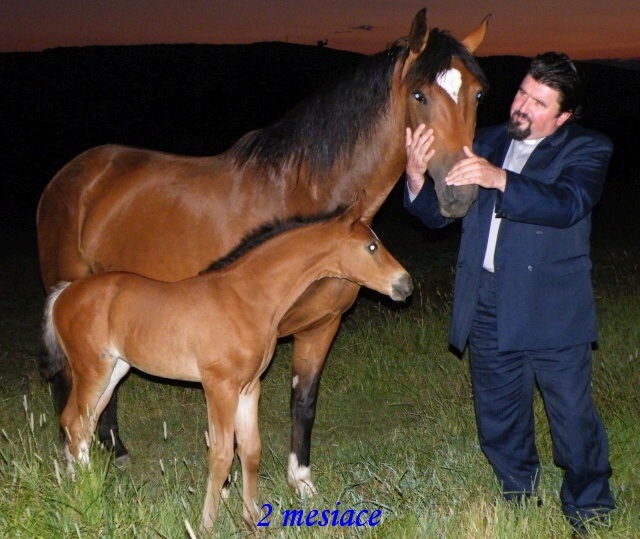 ScholaInNatura Fotogaleria