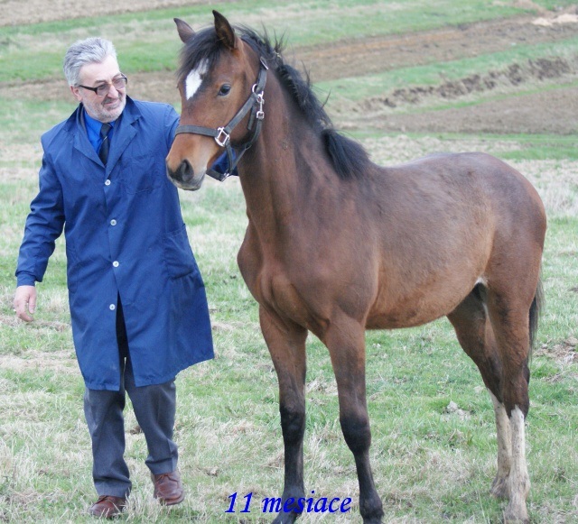 ScholaInNatura Fotogaleria