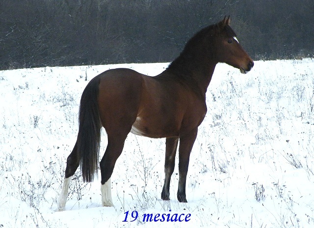 ScholaInNatura Fotogaleria