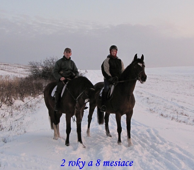 ScholaInNatura Fotogaleria