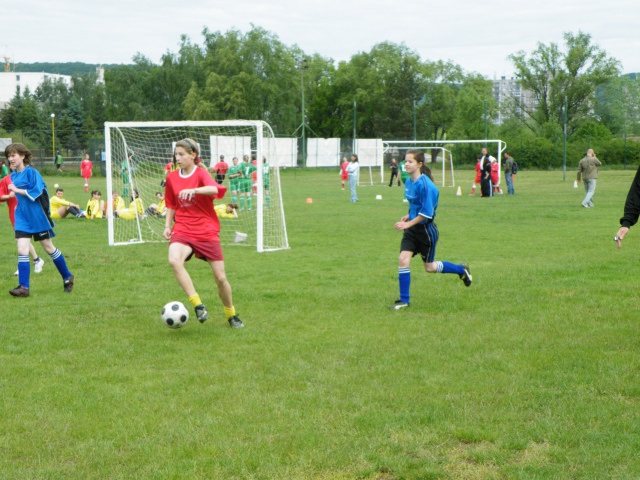 ScholaInNatura Fotogaleria