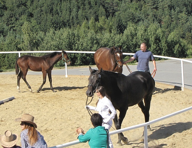 ScholaInNatura Fotogaleria