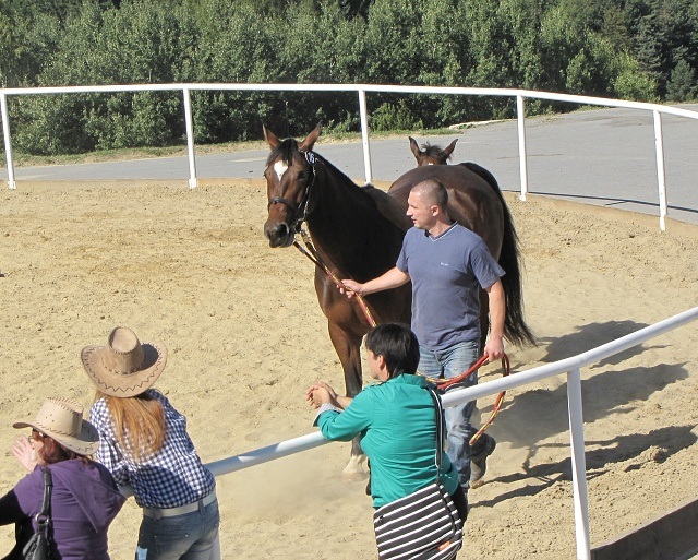 ScholaInNatura Fotogaleria