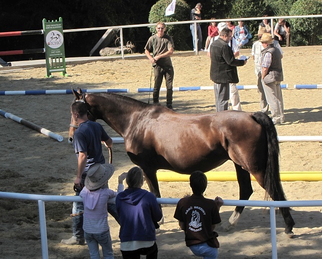 ScholaInNatura Fotogaleria