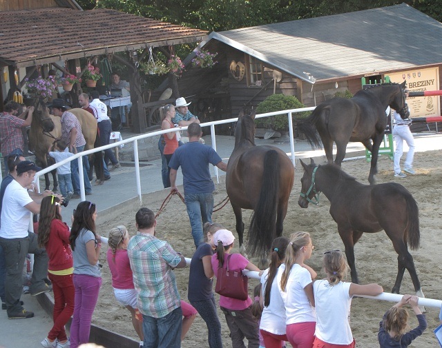 ScholaInNatura Fotogaleria