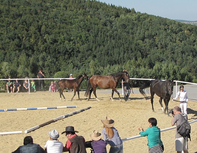 ScholaInNatura Fotogaleria