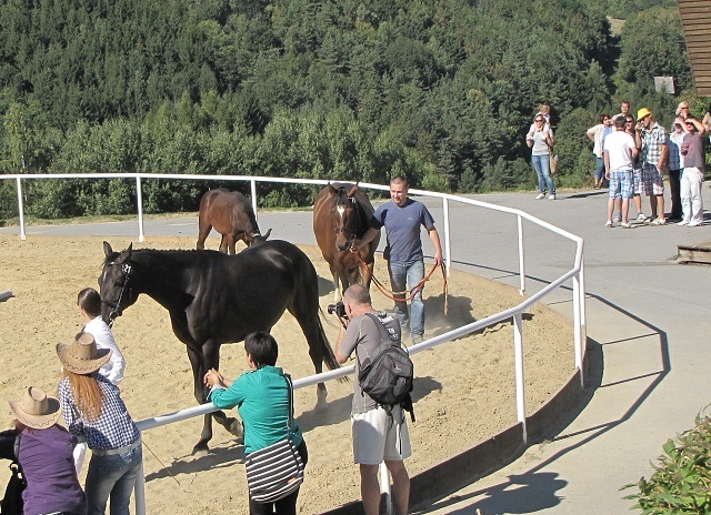 ScholaInNatura Fotogaleria