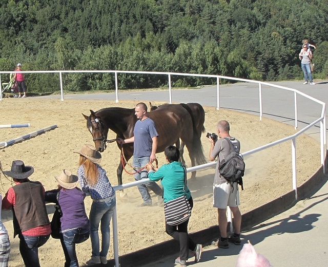 ScholaInNatura Fotogaleria