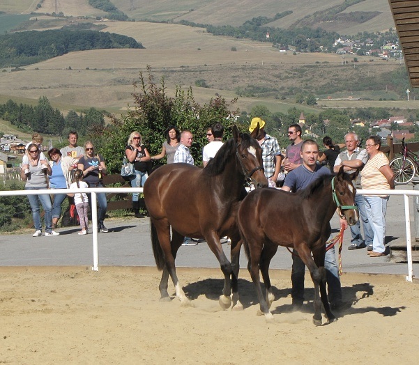 ScholaInNatura Fotogaleria