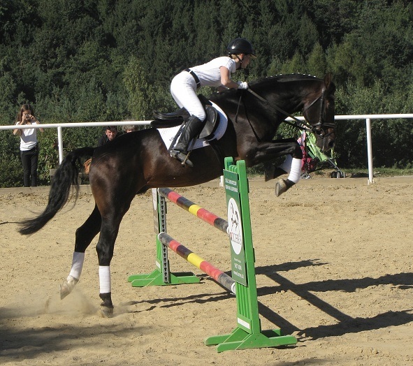 ScholaInNatura Fotogaleria