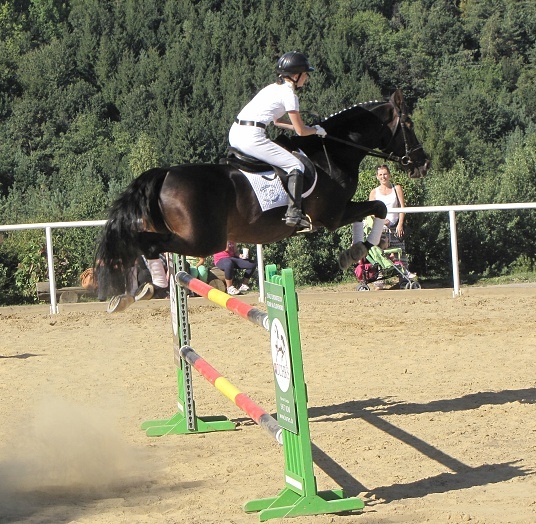 ScholaInNatura Fotogaleria