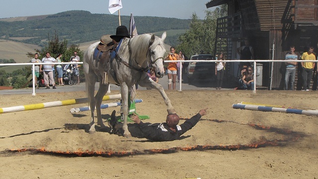 ScholaInNatura Fotogaleria