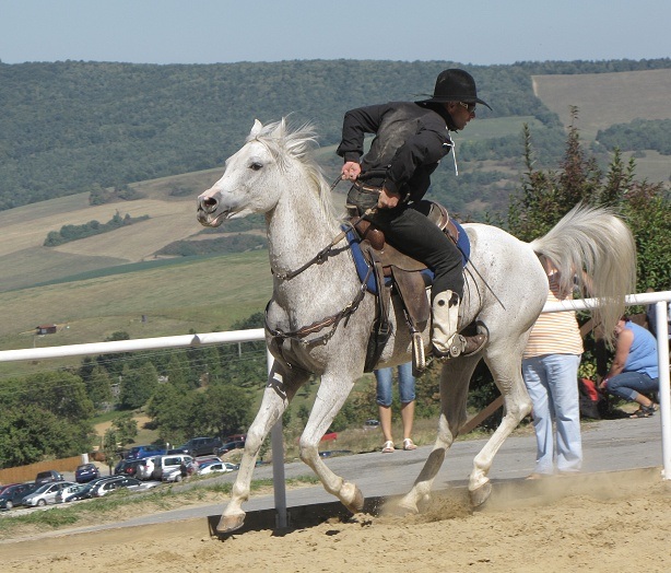 ScholaInNatura Fotogaleria
