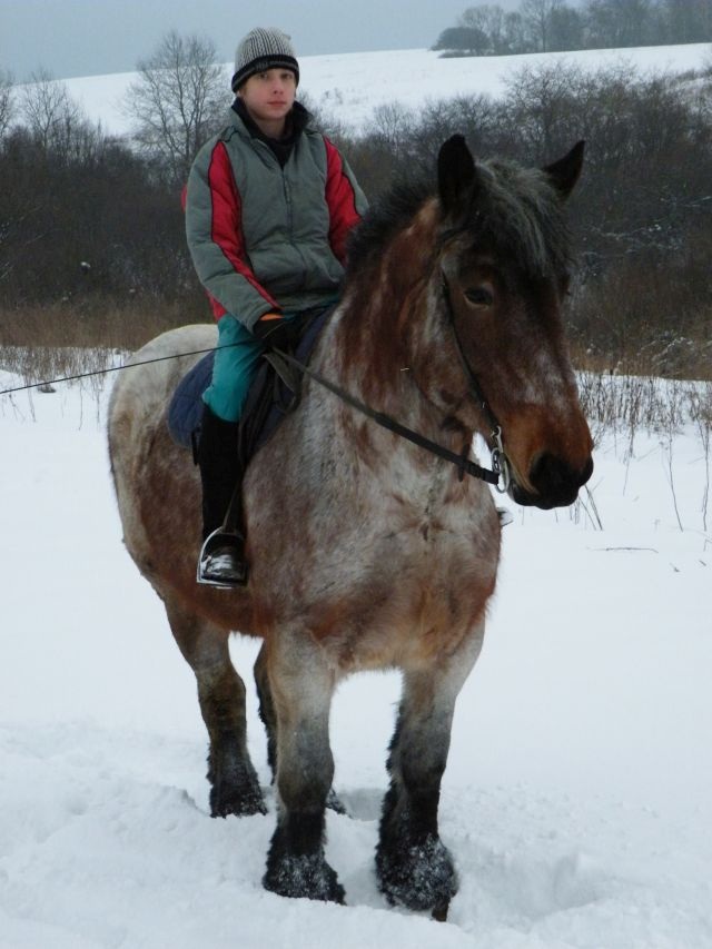 ScholaInNatura Fotogaleria