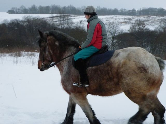 ScholaInNatura Fotogaleria