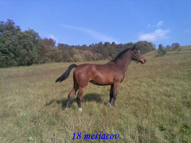 ScholaInNatura Fotogaleria