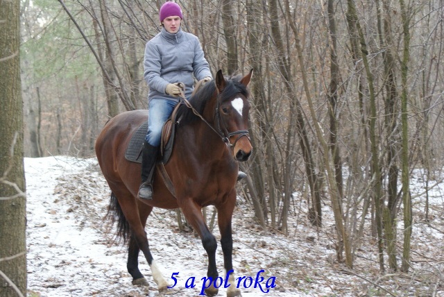 ScholaInNatura Fotogaleria