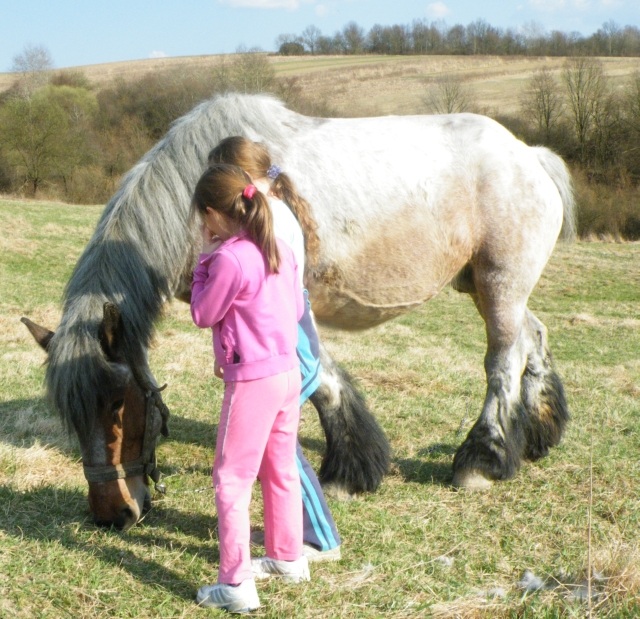 ScholaInNatura Fotogaleria
