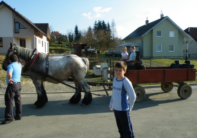 ScholaInNatura Fotogaleria