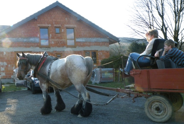 ScholaInNatura Fotogaleria
