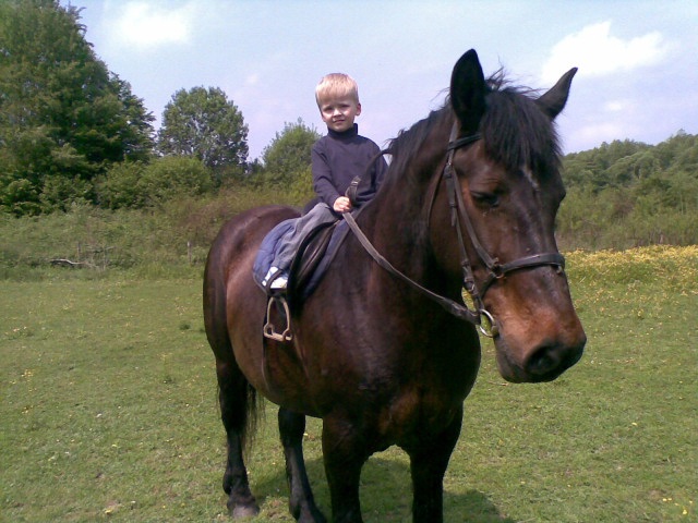 ScholaInNatura Fotogaleria