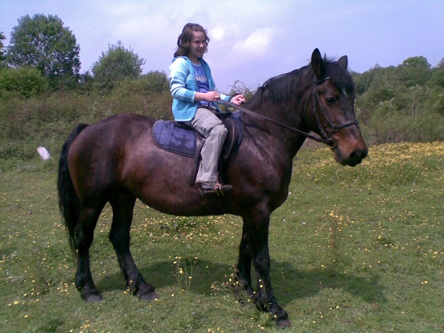 ScholaInNatura Fotogaleria