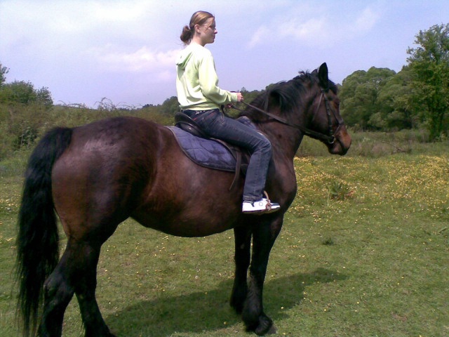 ScholaInNatura Fotogaleria