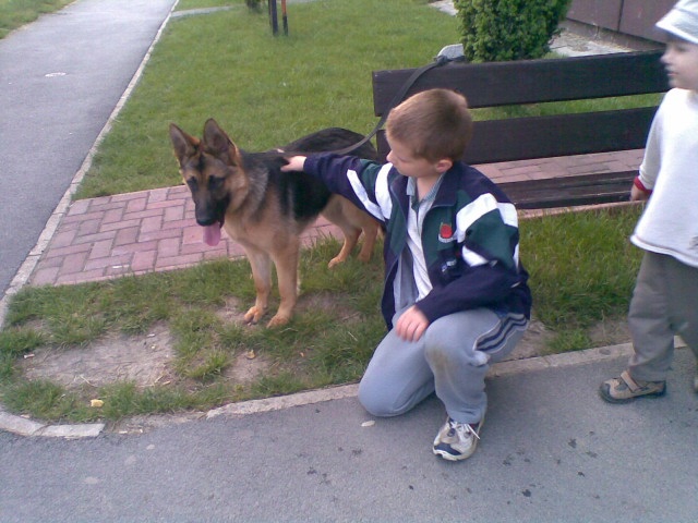 ScholaInNatura Fotogaleria