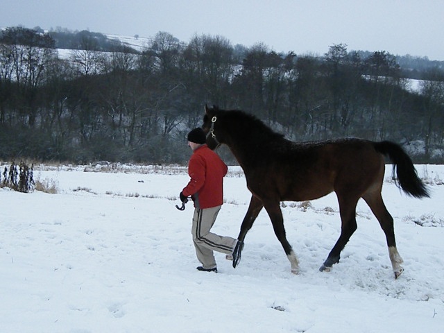 ScholaInNatura Fotogaleria