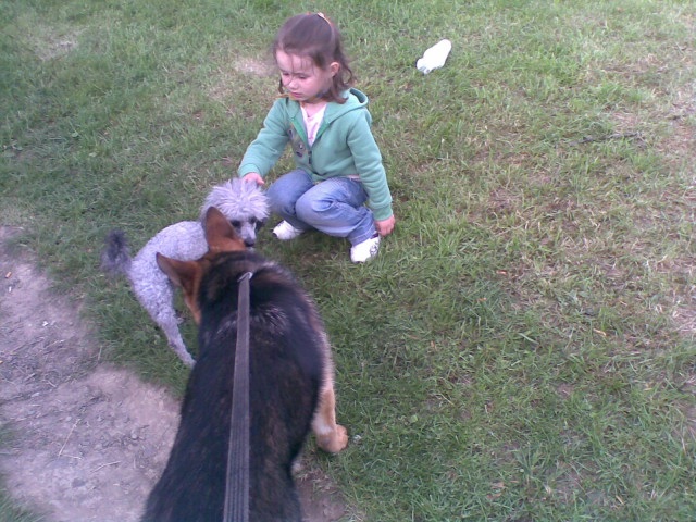 ScholaInNatura Fotogaleria