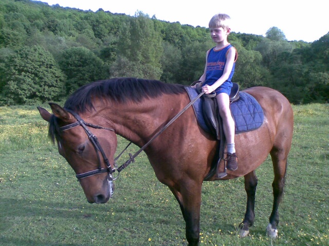 ScholaInNatura Fotogaleria