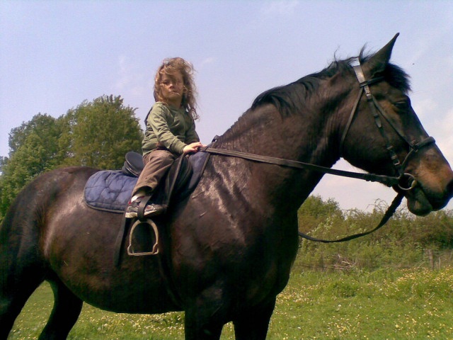 ScholaInNatura Fotogaleria