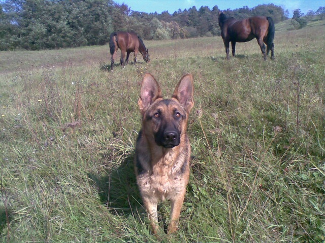 ScholaInNatura Fotogaleria