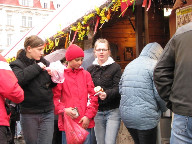 ScholaInNatura Fotogaleria