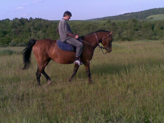 ScholaInNatura Fotogaleria