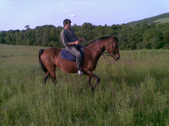 ScholaInNatura Fotogaleria