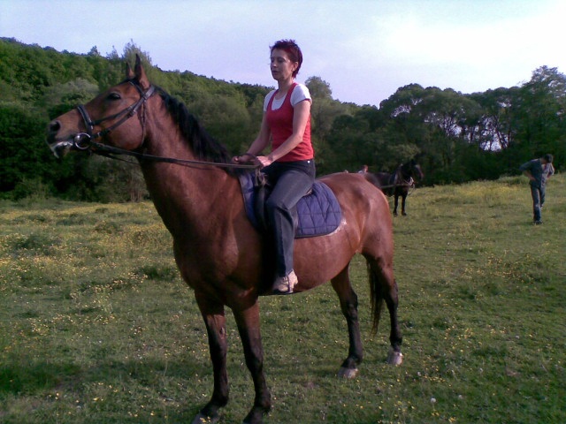 ScholaInNatura Fotogaleria