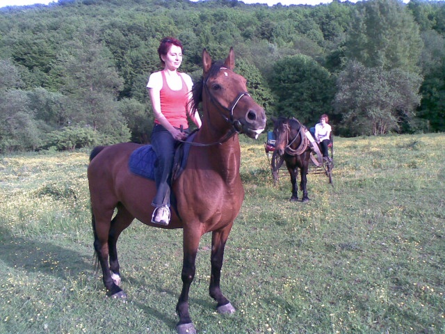 ScholaInNatura Fotogaleria