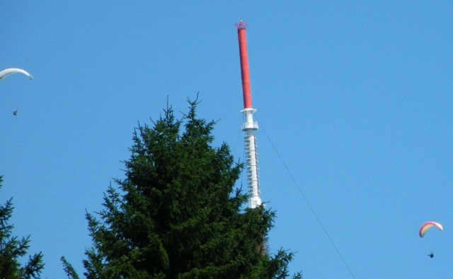 ScholaInNatura Fotogaleria