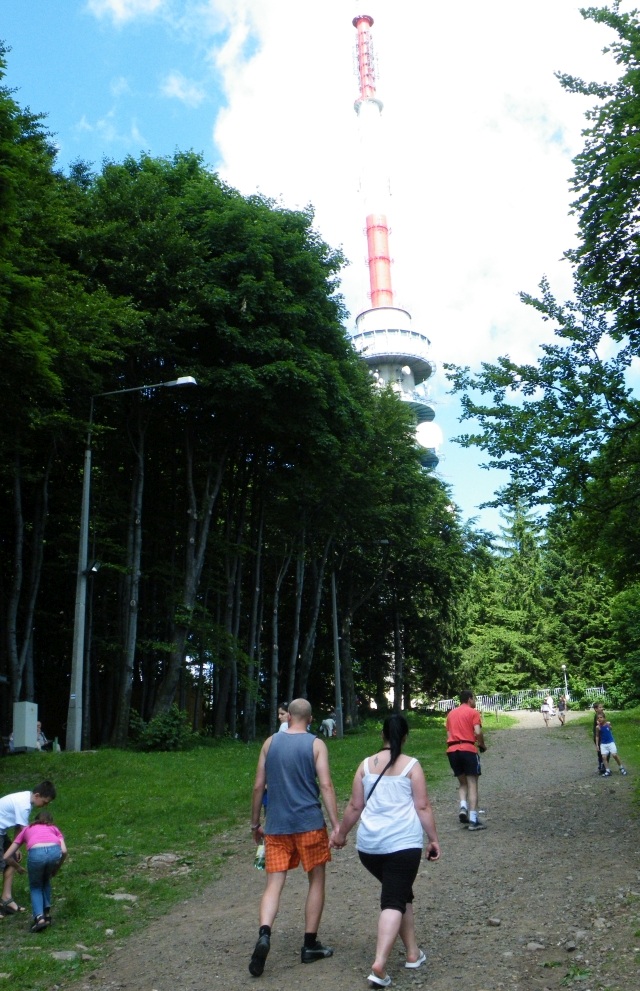 ScholaInNatura Fotogaleria